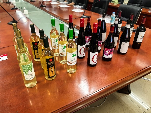 “龙行高校”2024年中国葡萄酒校园公开课在天津精东影业开讲(图1)